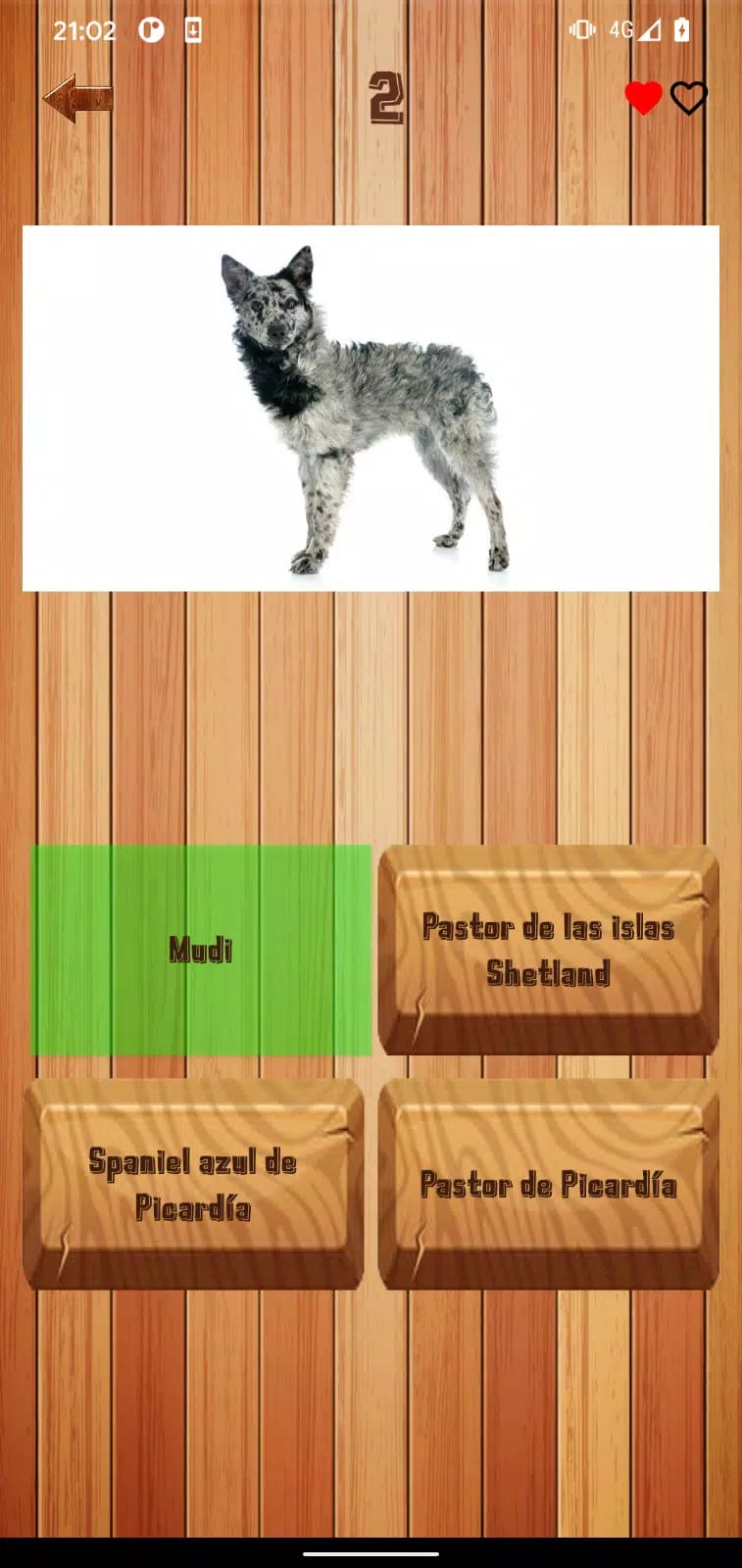 Guess dog breed 스크린샷 1