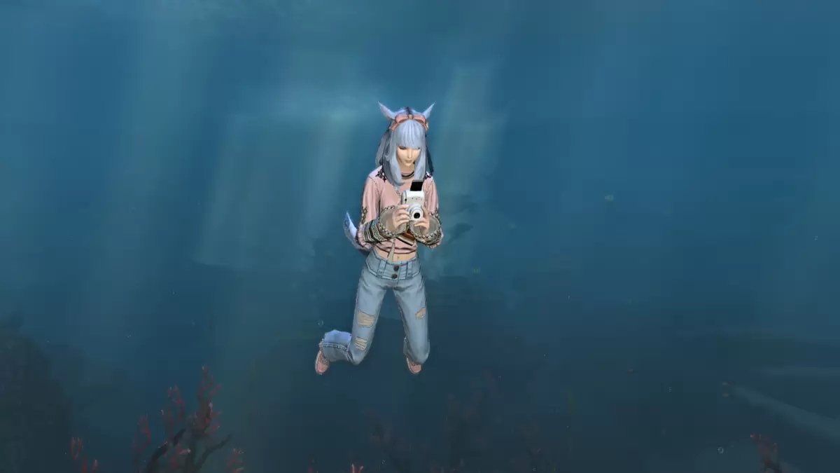 The Photograph emote in use underwater