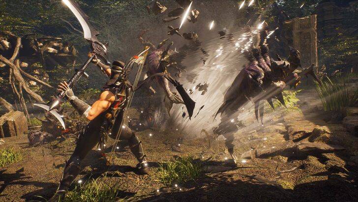 NINJA GAIDEN 2 Black - Features