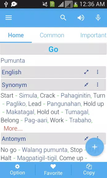 Filipino Dictionary Multifunct Скриншот 2