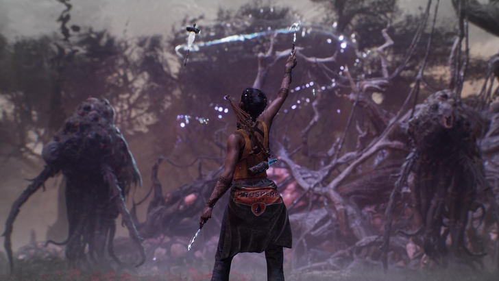 Au sud de la précommande de minuit et du DLC