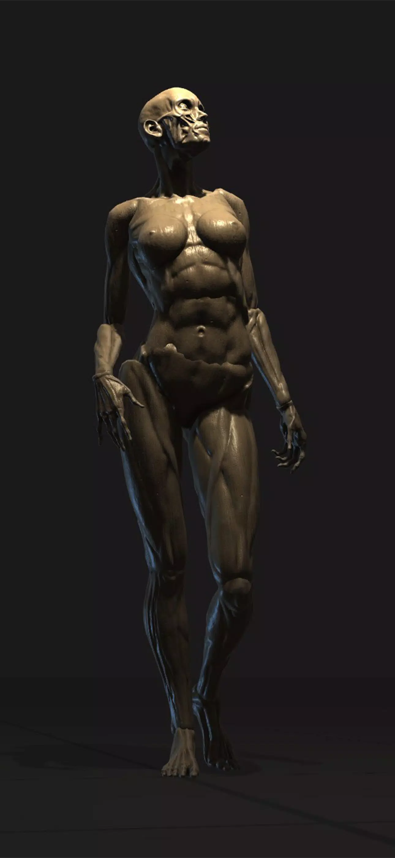 Poseit应用截图第1张