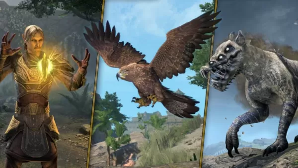 Premium Edition Grants Access to All Previous ESO Content