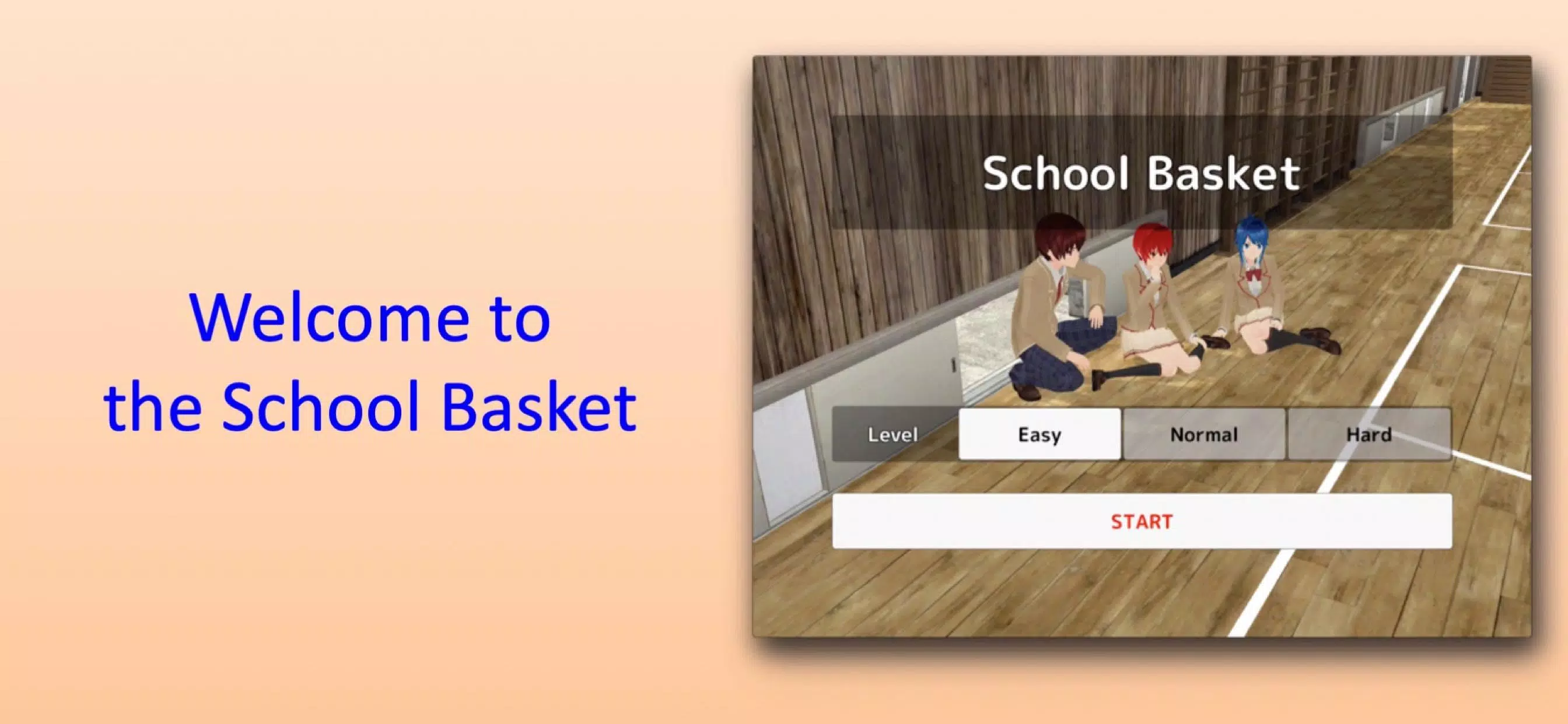 School Basket應用截圖第0張