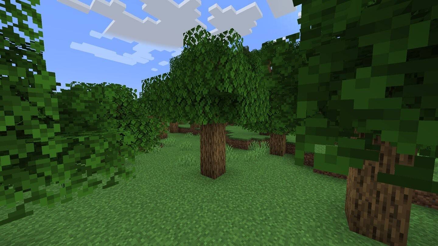 Oak