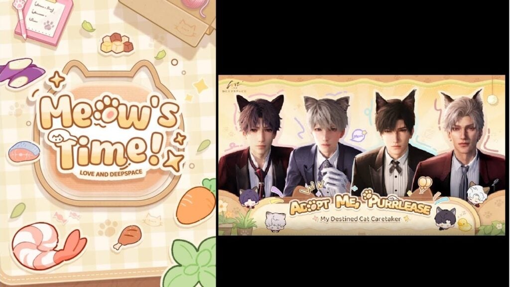 Gourmet Cat Cuisine for Stellar Occasions!