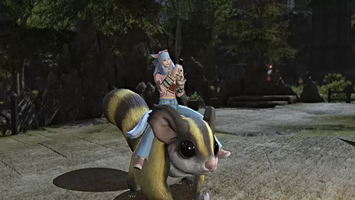 The Photograph emote in use on a mount