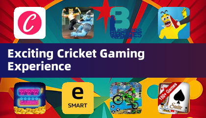 激动人心的板球游戏体验